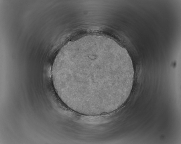 X0000115090041200912081246