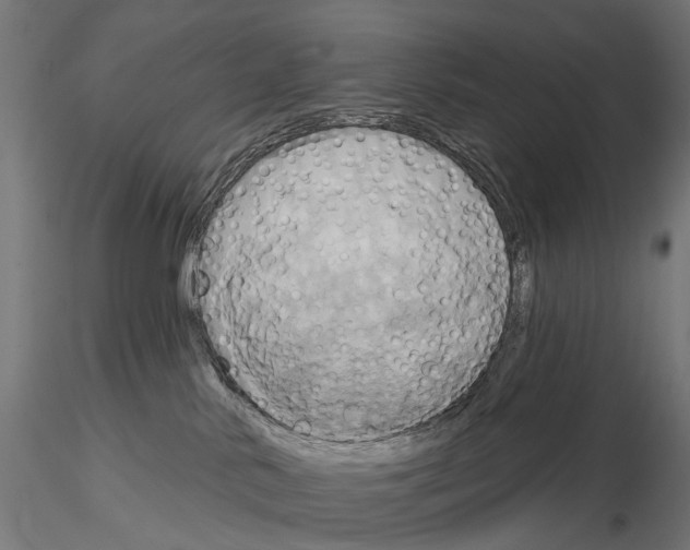 X0000115090042200912081246
