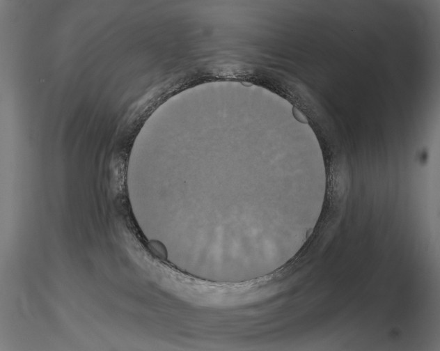X0000115090043200912081246