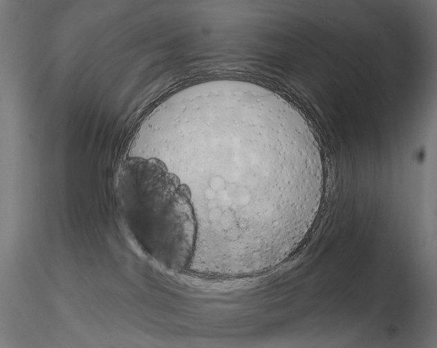 X0000115090044200912081246