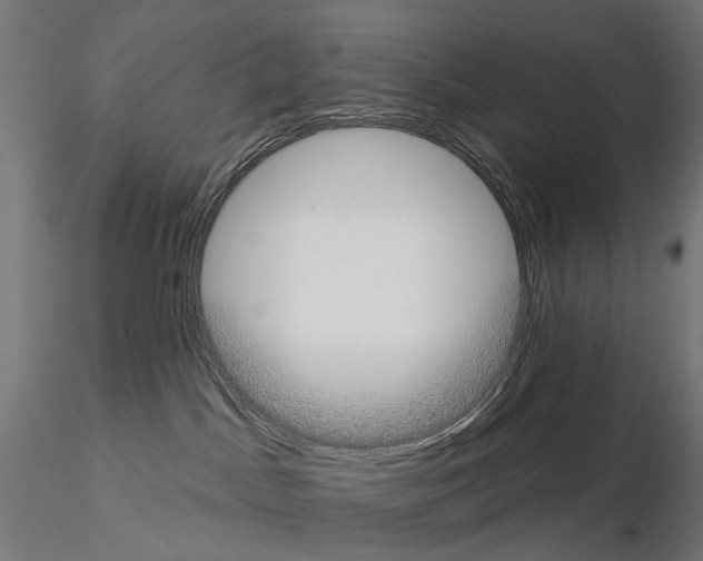 X0000115090045200912081246