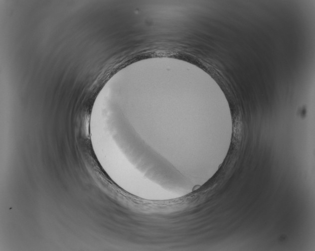 X0000115090046200912081246