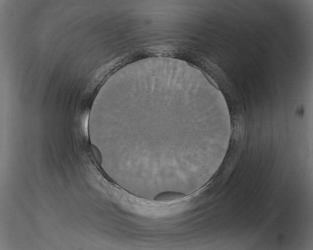 X0000115090047200912081245