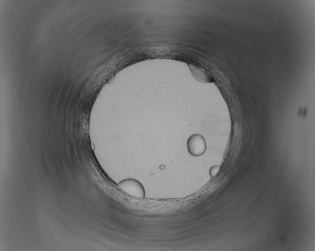 X0000115090048200912081245