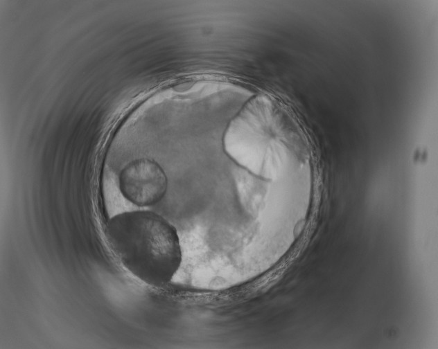 X0000115090049200912081245