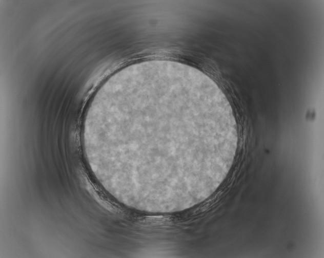 X0000115090050200912081245