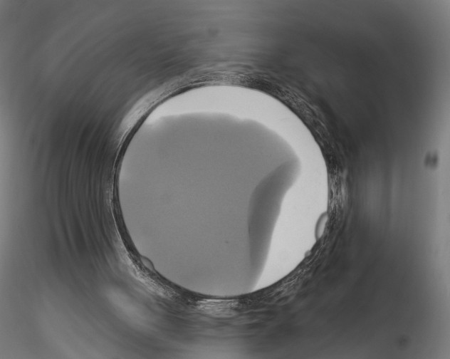 X0000115090051200912081245