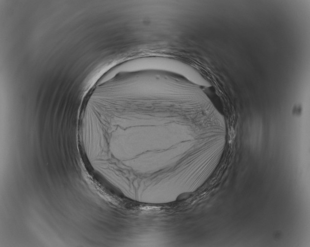 X0000115090052200912081245