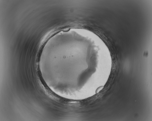 X0000115090053200912081245