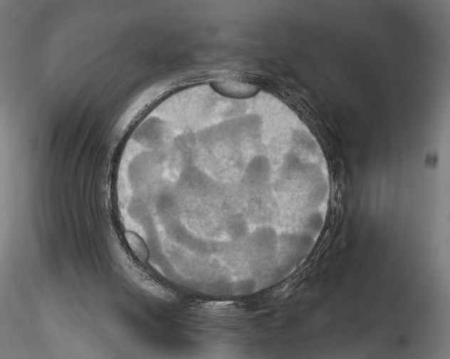 X0000115090054200912081245
