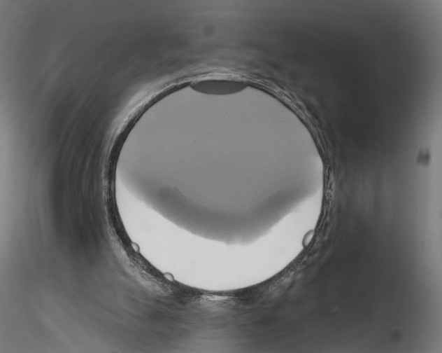 X0000115090055200912081245