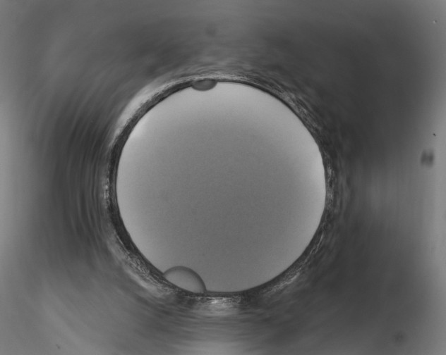 X0000115090056200912081245