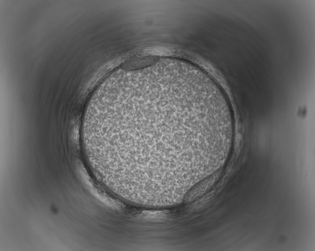 X0000115090057200912081245
