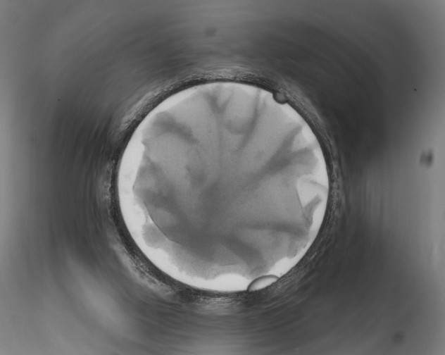 X0000115090058200912081245