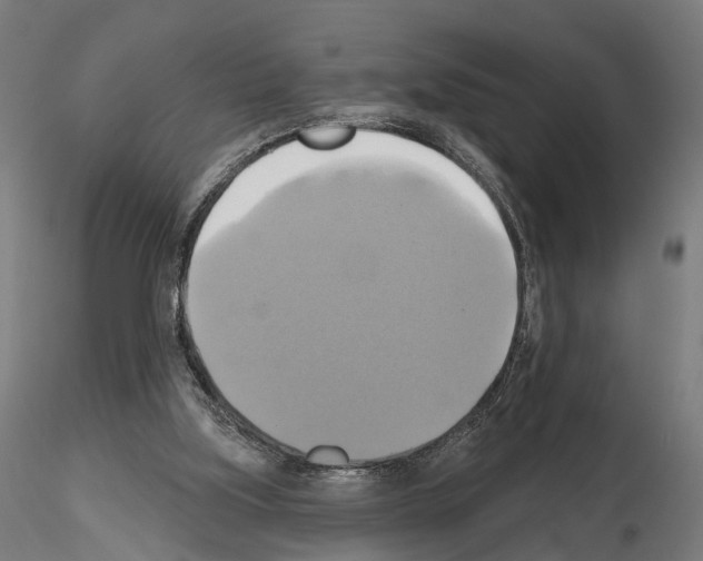 X0000115090059200912081245