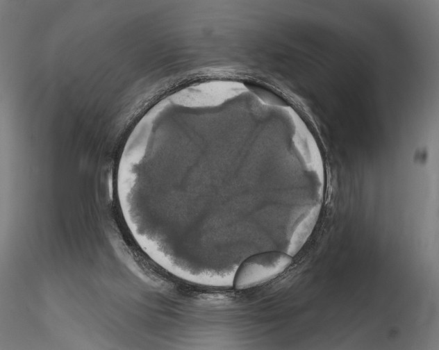 X0000115090061200912081245