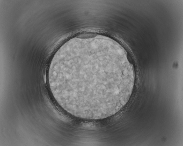 X0000115090062200912081245