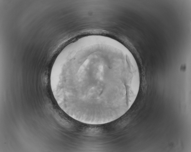 X0000115090063200912081245
