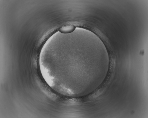 X0000115090064200912081245