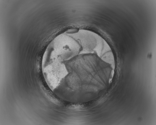 X0000115090065200912081245
