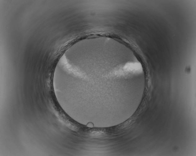 X0000115090066200912081245