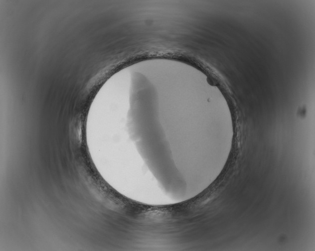 X0000115090067200912081245