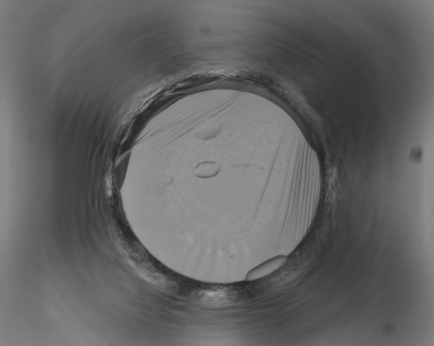 X0000115090068200912081245