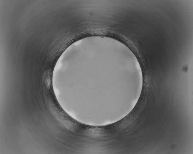 X0000115090069200912081245