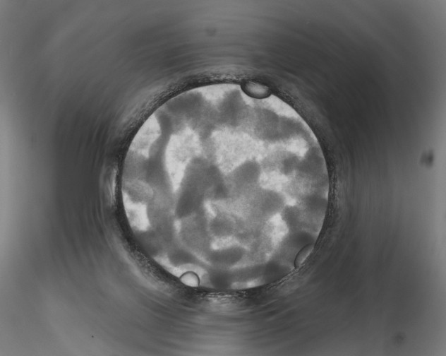 X0000115090070200912081245