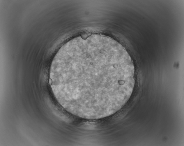 X0000115090071200912081245
