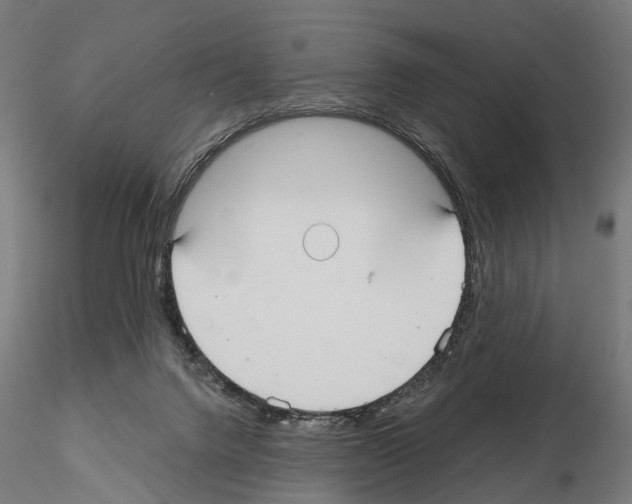 X0000115090072200912081245