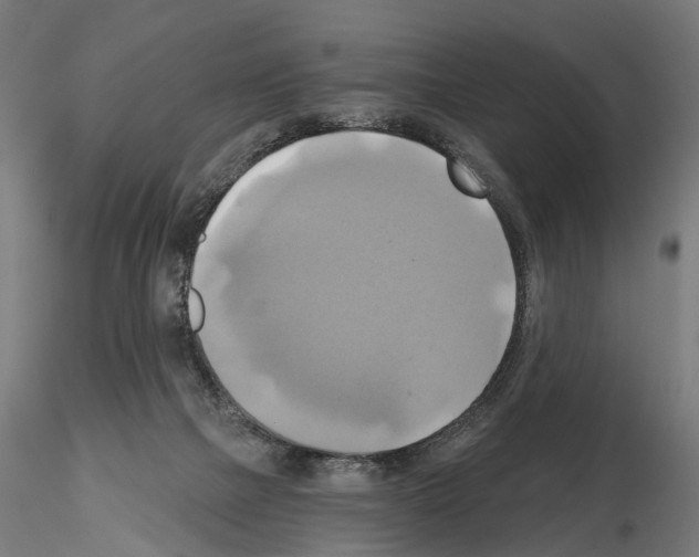 X0000115090073200912081245