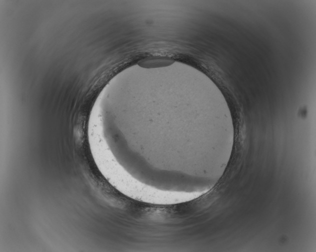 X0000115090074200912081245
