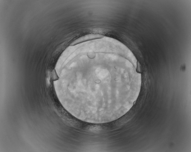 X0000115090075200912081245