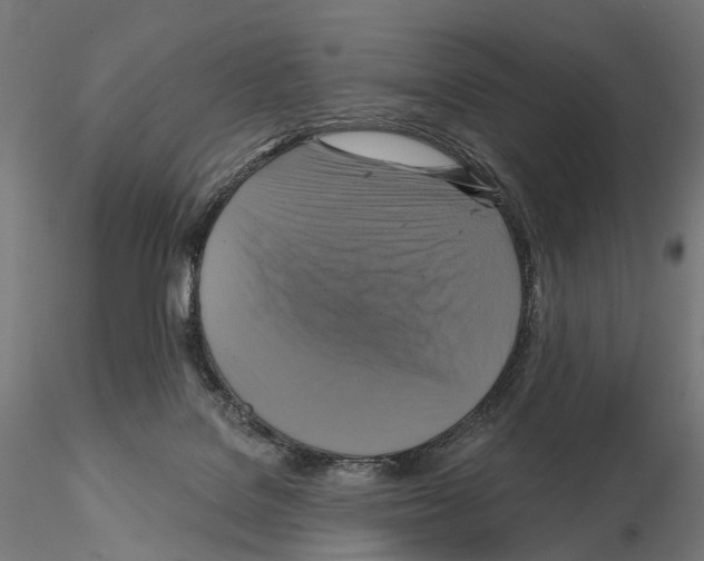 X0000115090076200912081245