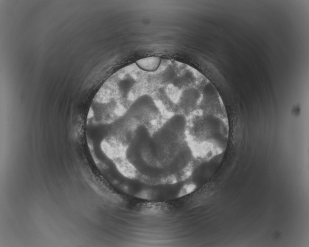 X0000115090077200912081245