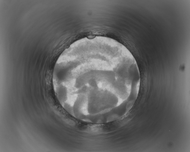 X0000115090078200912081245