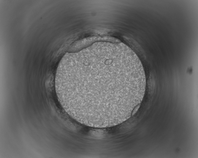 X0000115090079200912081245