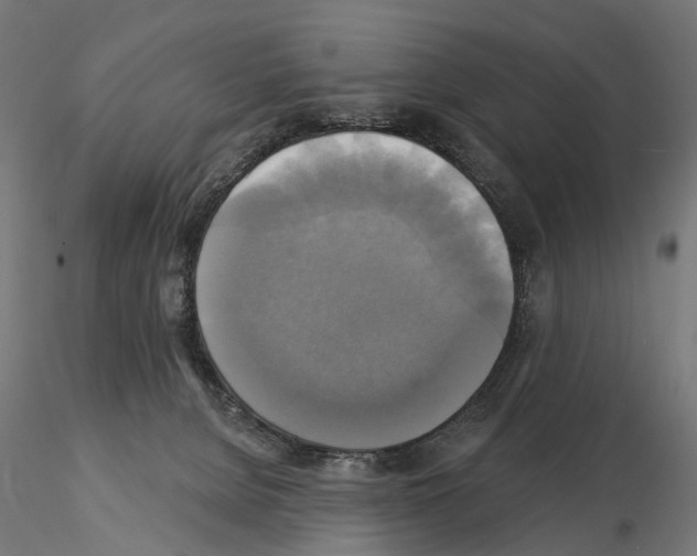 X0000115090080200912081245