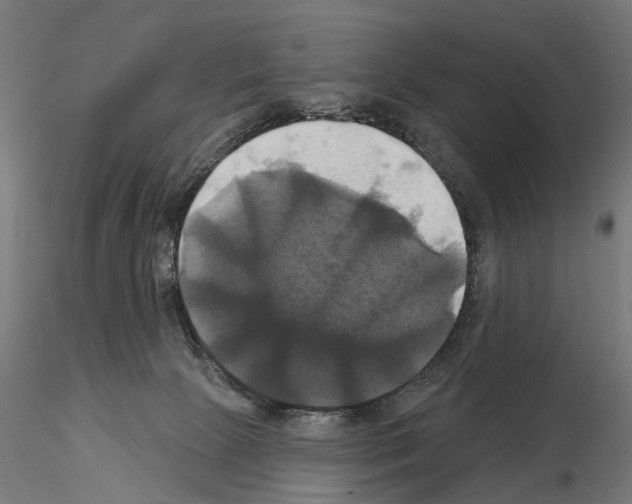 X0000115090081200912081245