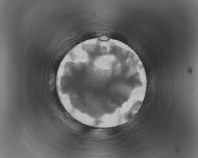 X0000115090082200912081245