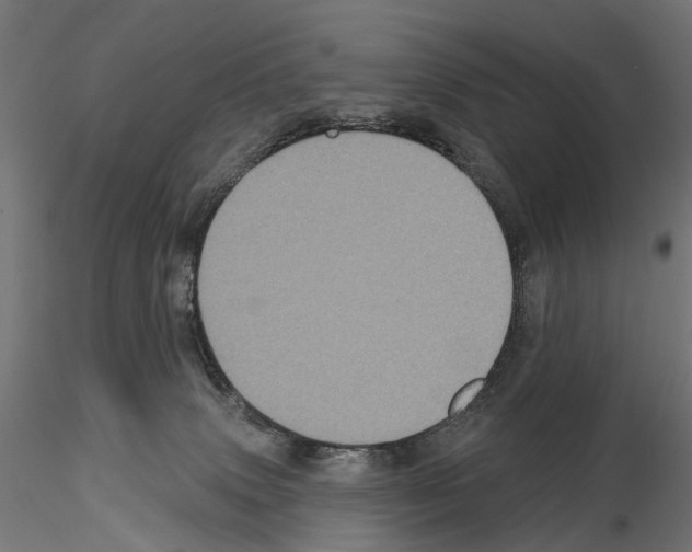 X0000115090083200912081245