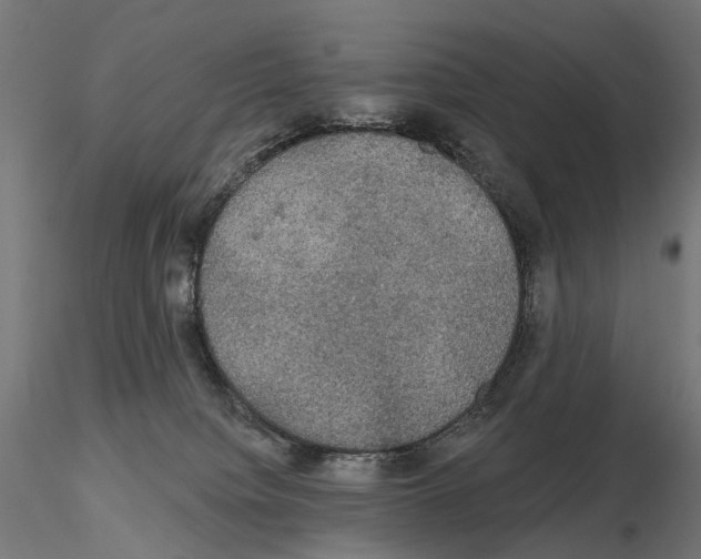 X0000115090084200912081245