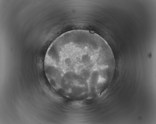 X0000115090086200912081245