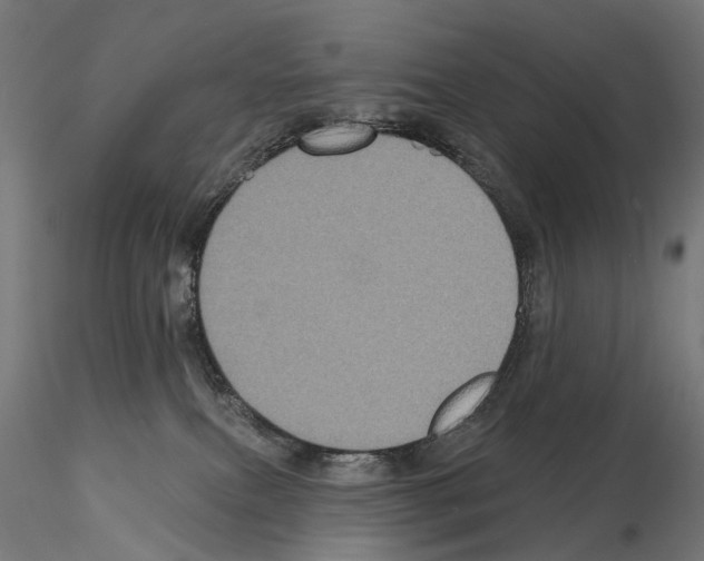 X0000115090087200912081245