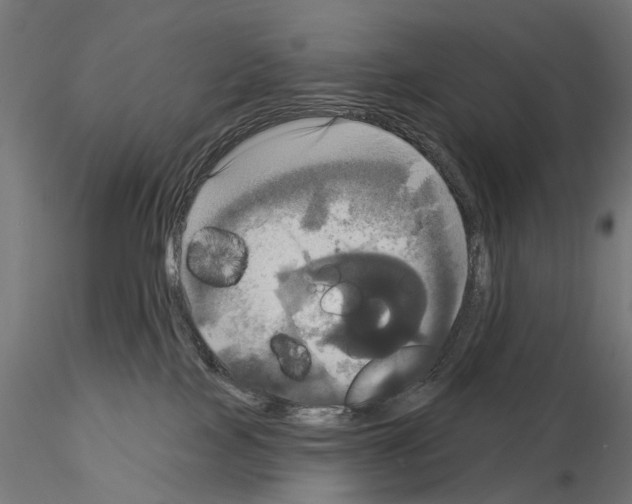 X0000115090089200912081245