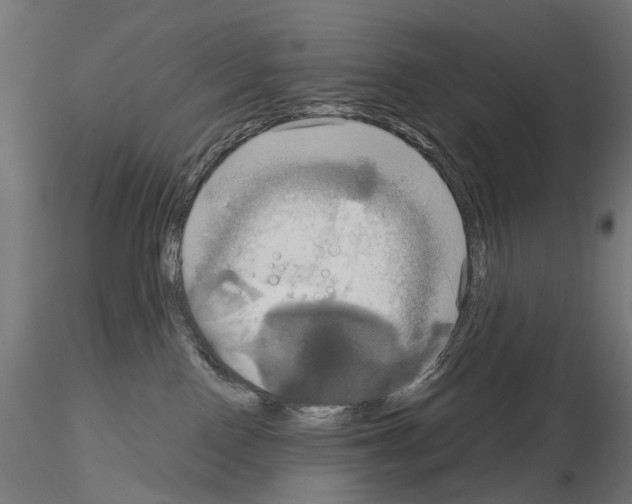 X0000115090090200912081245