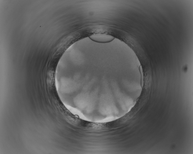X0000115090093200912081245