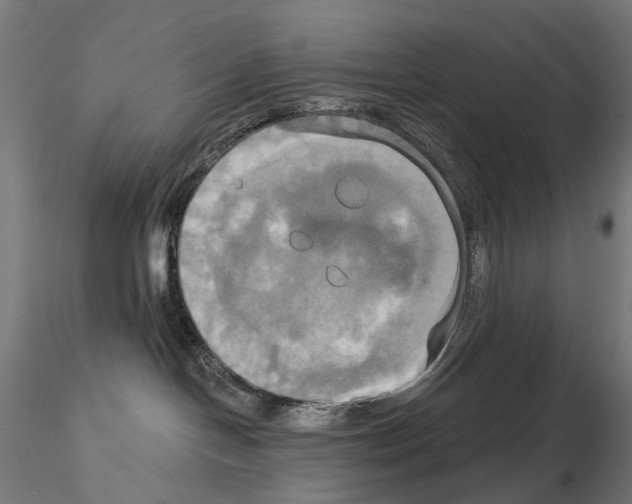 X0000115090094200912081245