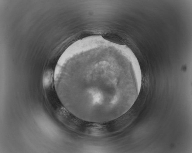 X0000115090095200912081245